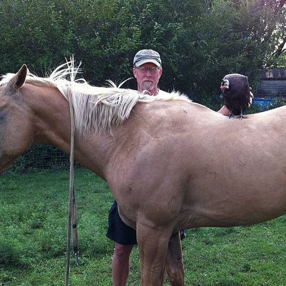 Meet your Posher, Dave - Picture 1 of 1